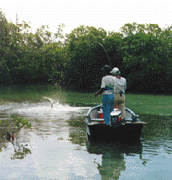 Zapata Fishing Safaris