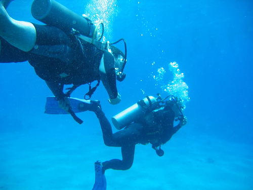 Sharm El Sheikh Diving