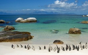 photo-of-South-Africa-beach
