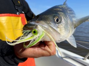 Choosing Lures – The Outdoor Women