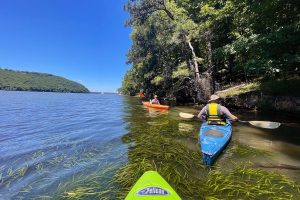 Kayaking Little River Canyon – Albama – The Outdoor Women